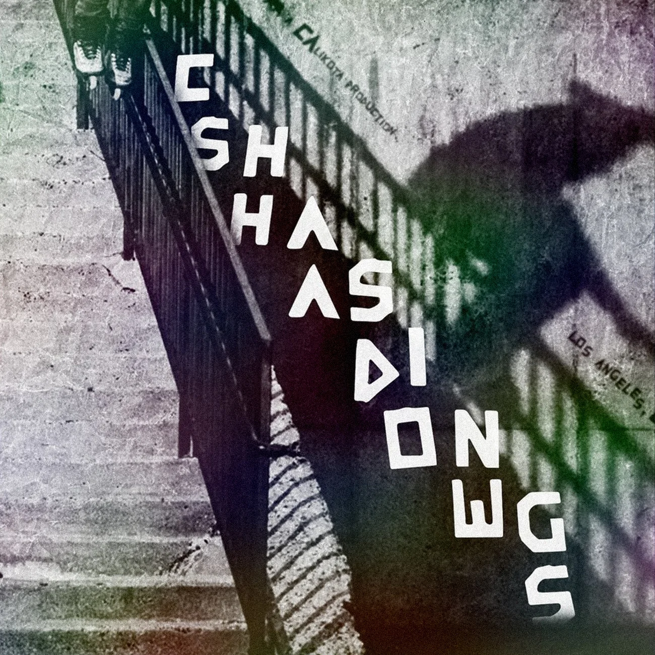 Thumbnails 2019Nic Brenden Chasing Shadows.jpg