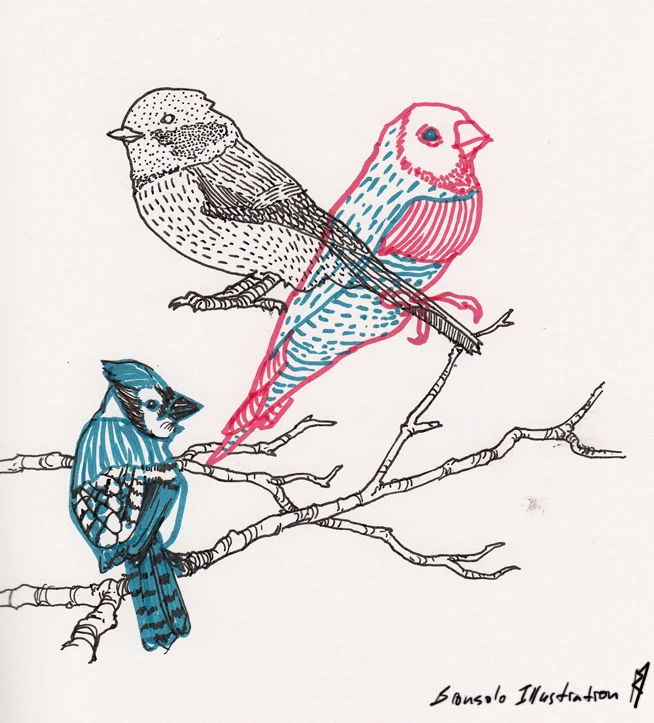 birdsskweb copy.jpg