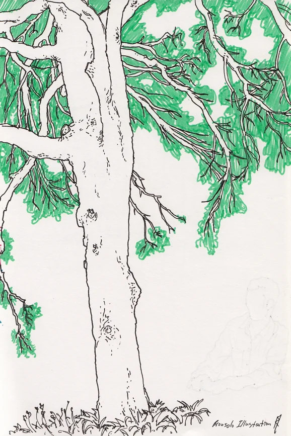 melbtreeskweb.jpg