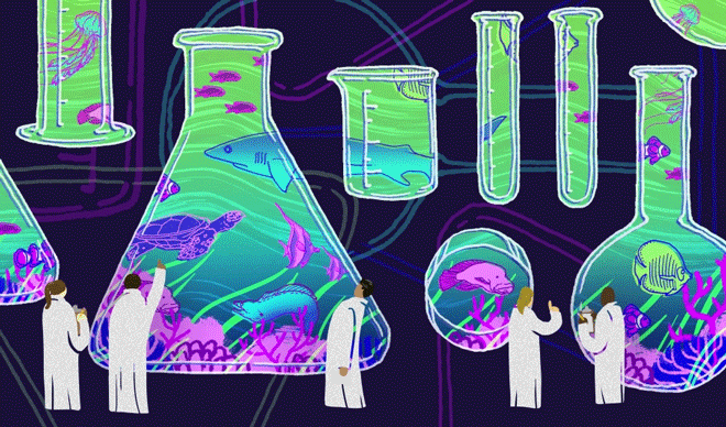 Untitled-1.gif