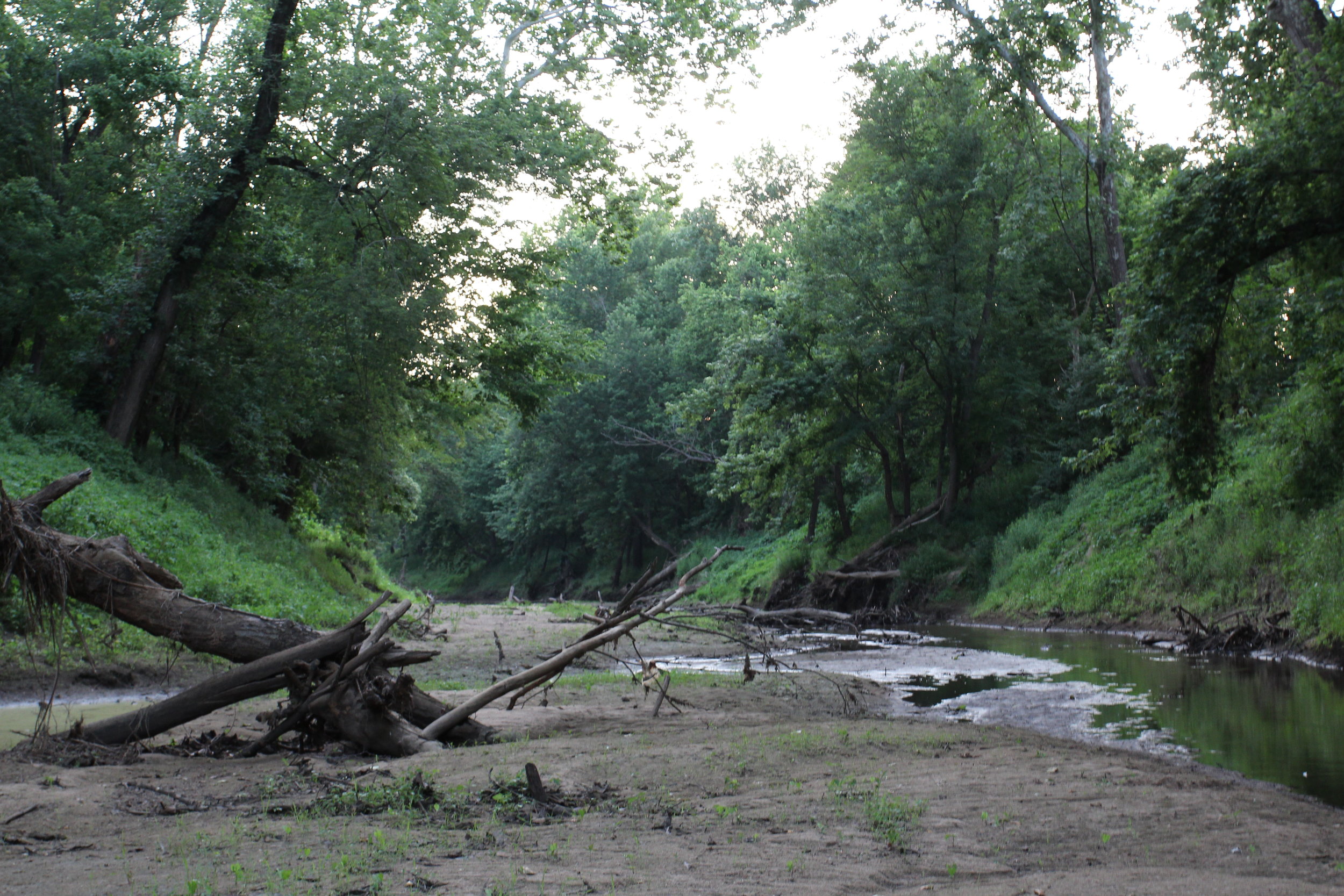 Perche creek behind Breckenridge Park in Columbia, MO