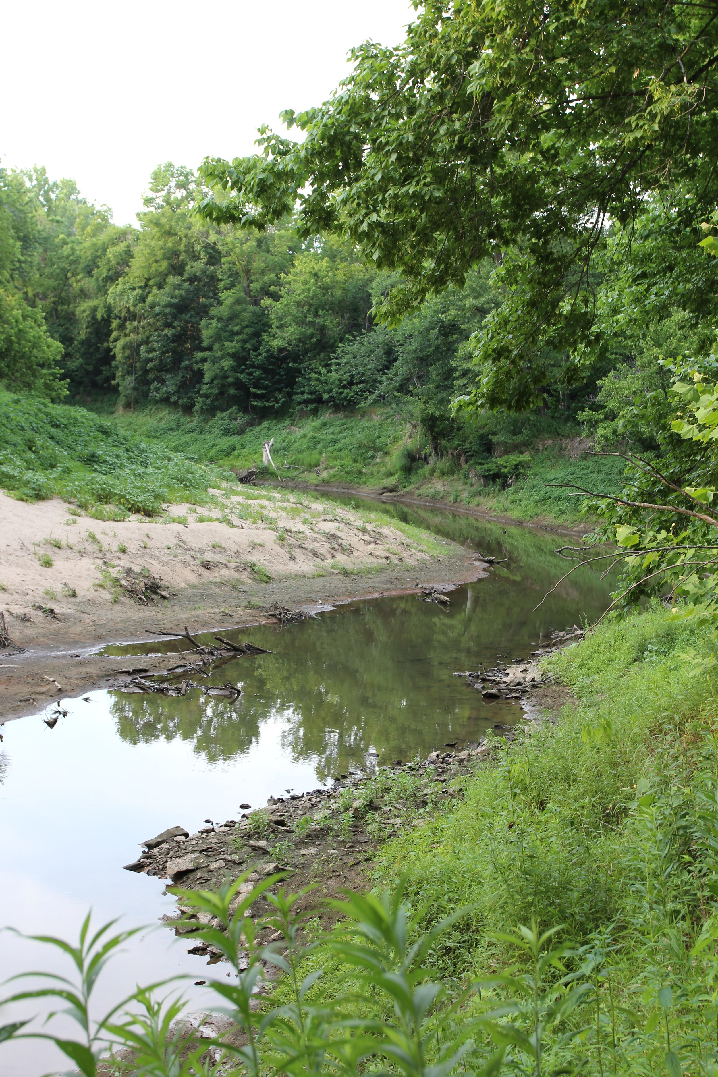 Creek behind Breckenridge Park in Mid-Missouri