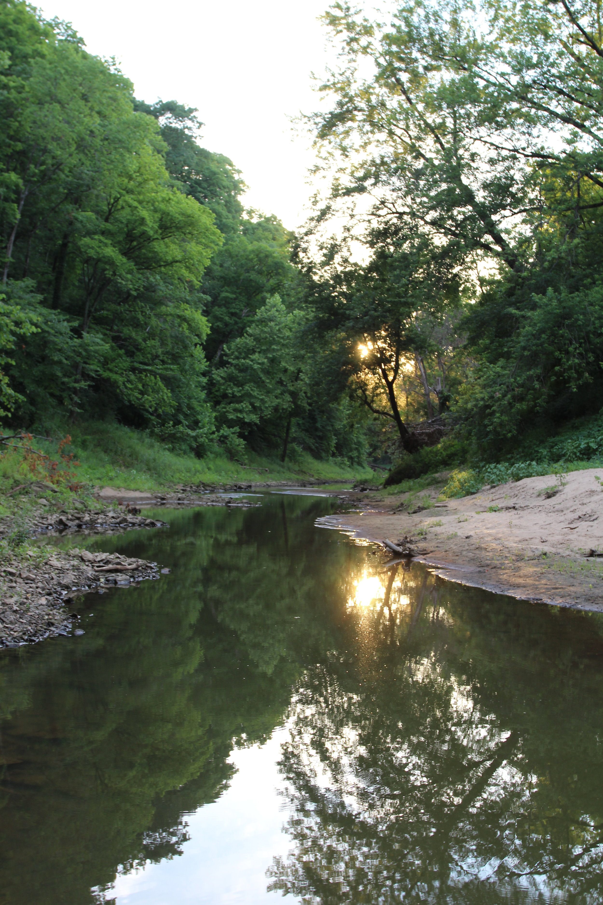 Perche Creek behind Breckenridge Park