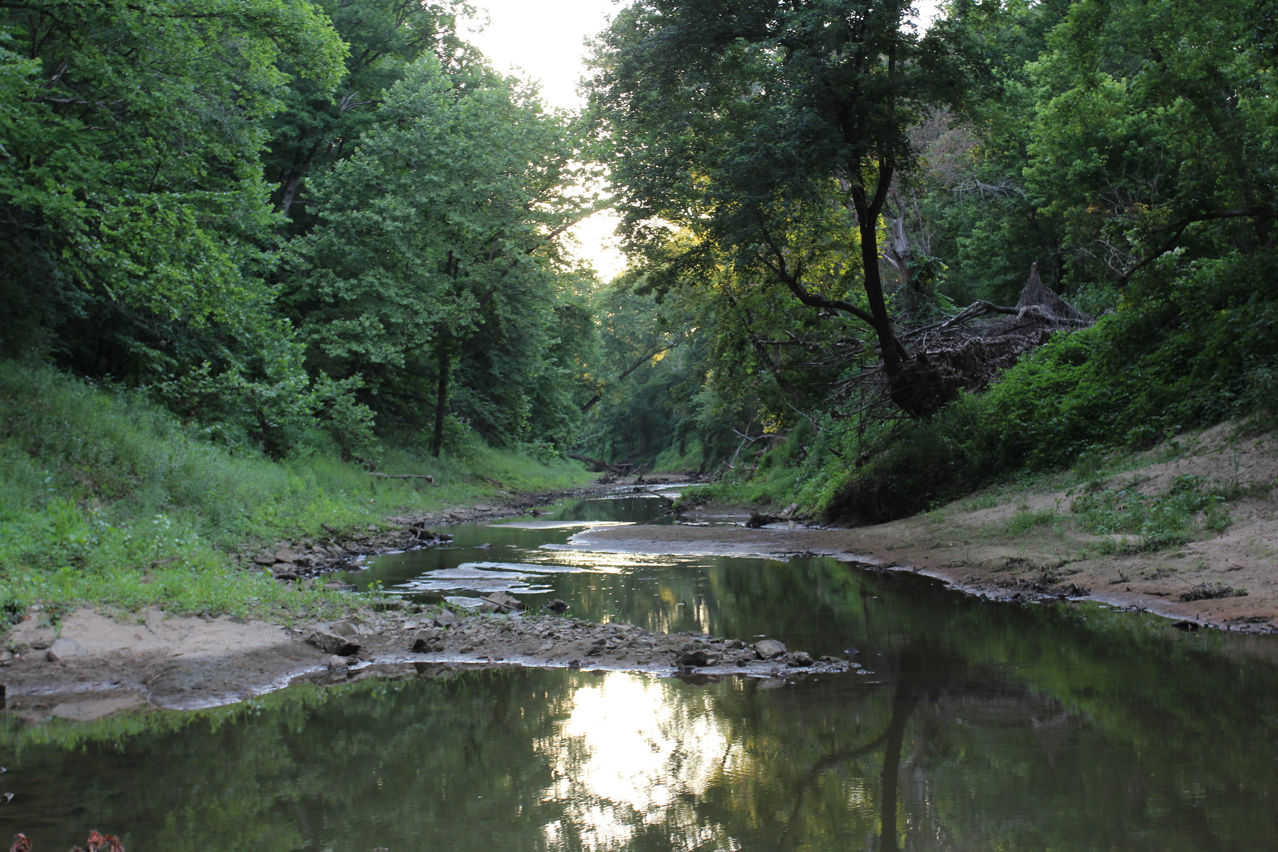 Perche Creek in Mid-Missouri