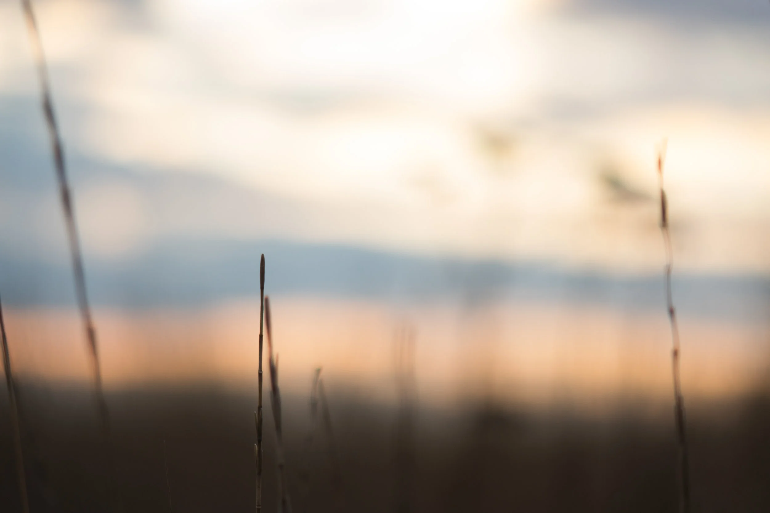 Deciding on a community to build your new home.