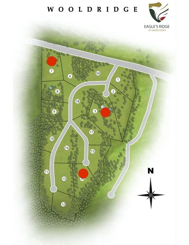 Eagle+Ridge+Lot+Map+-+Revised+9_16.jpg