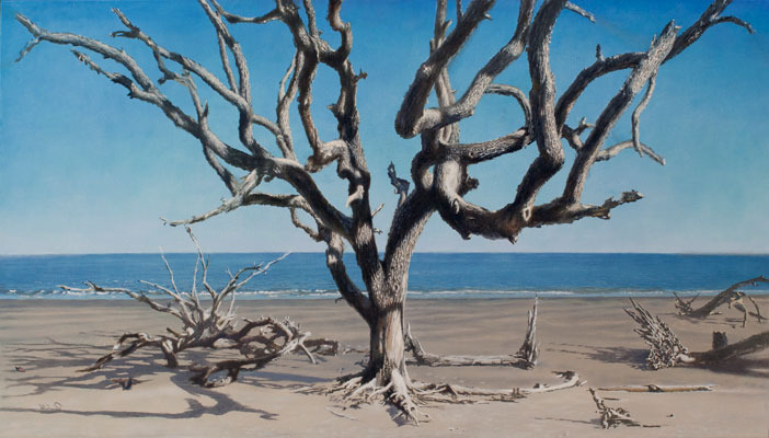 diagnosis, 27 x 48 in, oil on linen. Painting by Reinhold Schwenk.