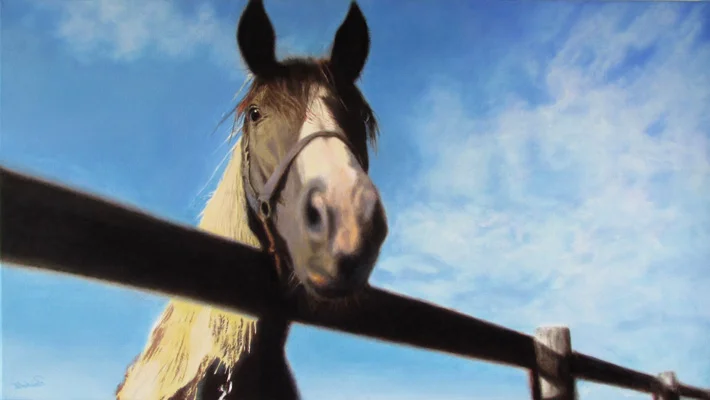 here’s lookin’ at you..., 18 x 32 in, oil on linen. Painting by Reinhold Schwenk.
