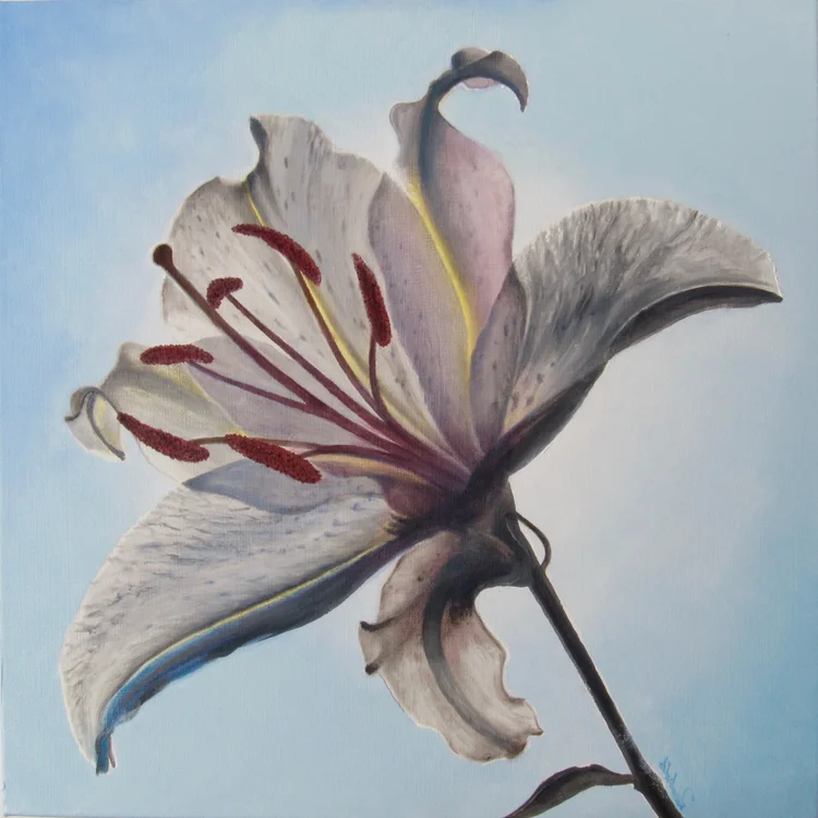 shades of white, 20 x 20 in, oil on canvas. Painting by Reinhold Schwenk.