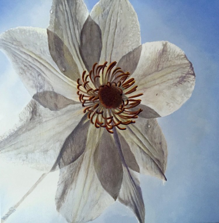 transcending white, 20 x 20 in, oil on canvas. Painting by Reinhold Schwenk.