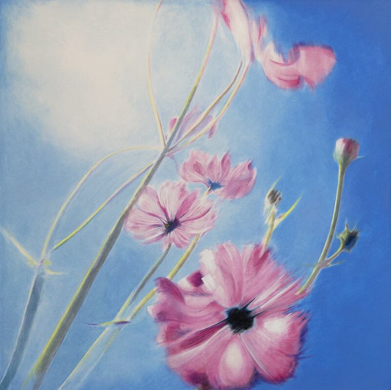pink blur <span class="sizes-inline">48 x 48  oil on canvas</span>