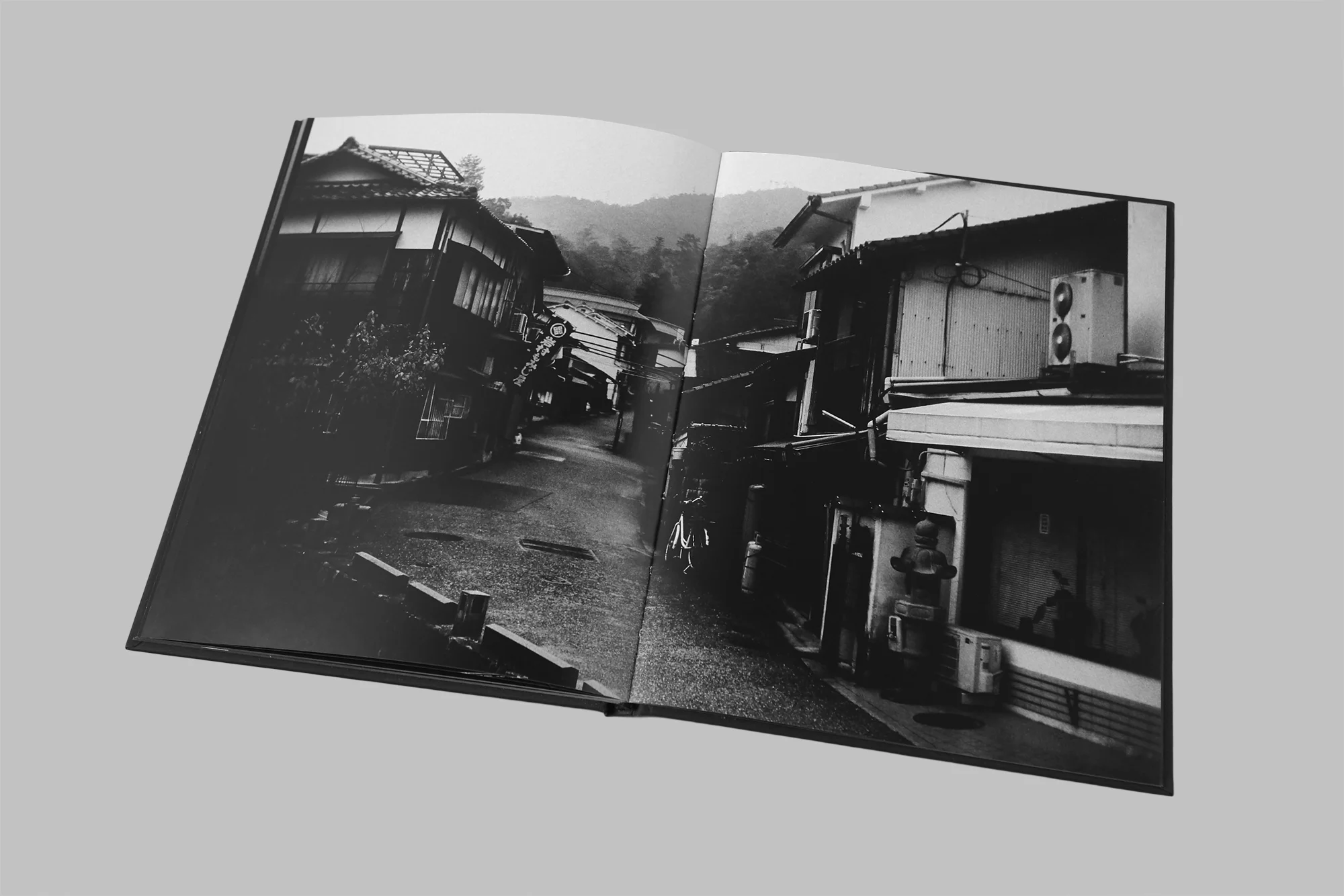 Offset duotone print Published by Palm* (UK) Limited edition, 500 copies