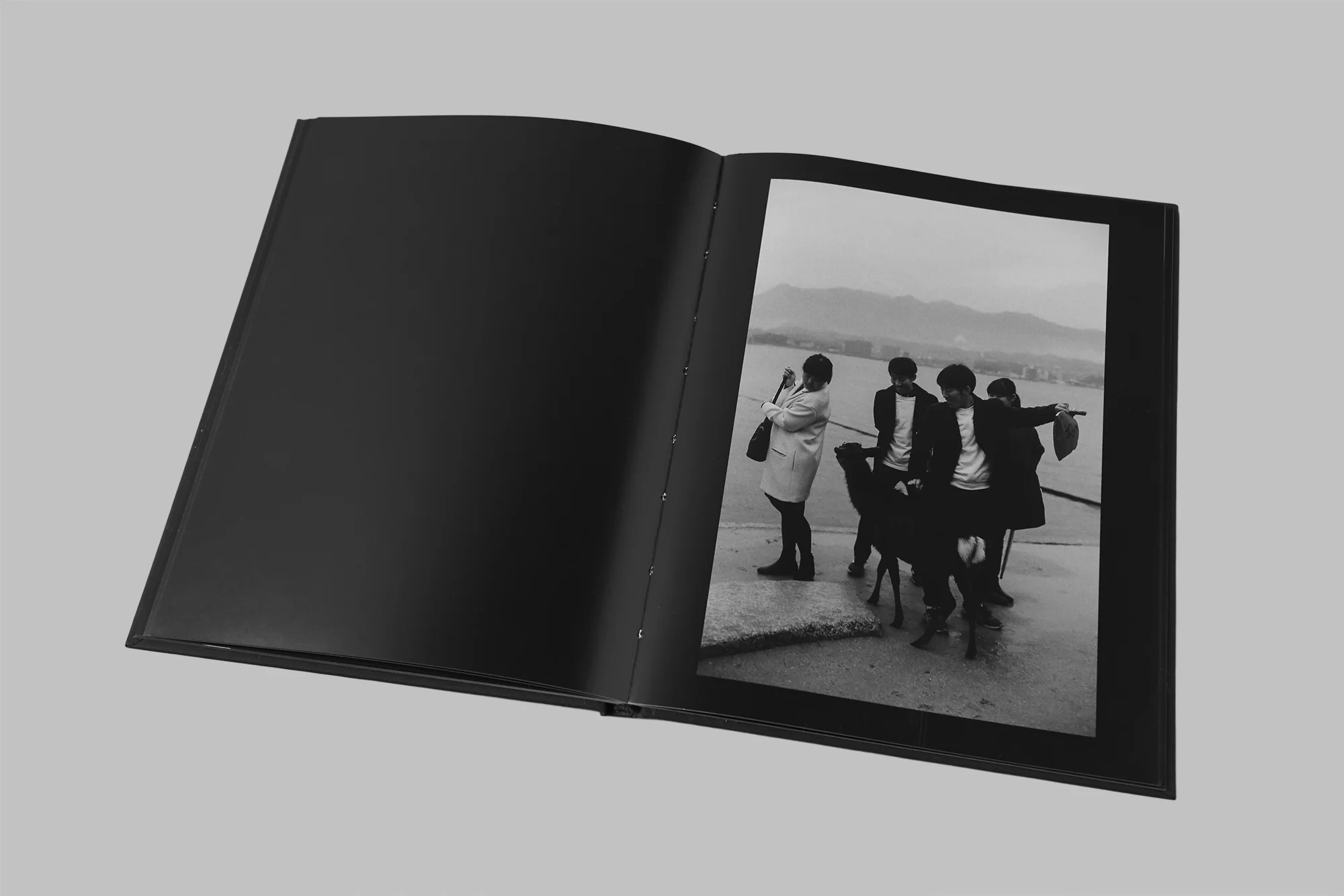Offset duotone print Published by Palm* (UK) Limited edition, 500 copies