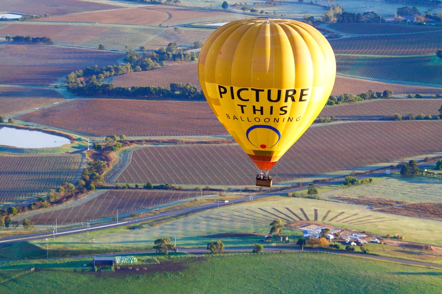 Hot air balloon over Yarra Valley.JPG
