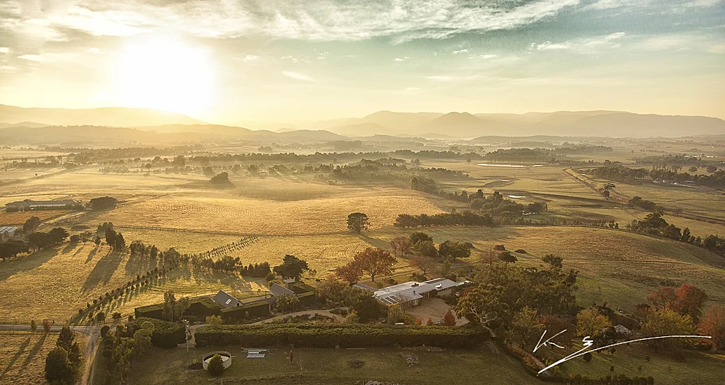 Yarra Valley.jpeg