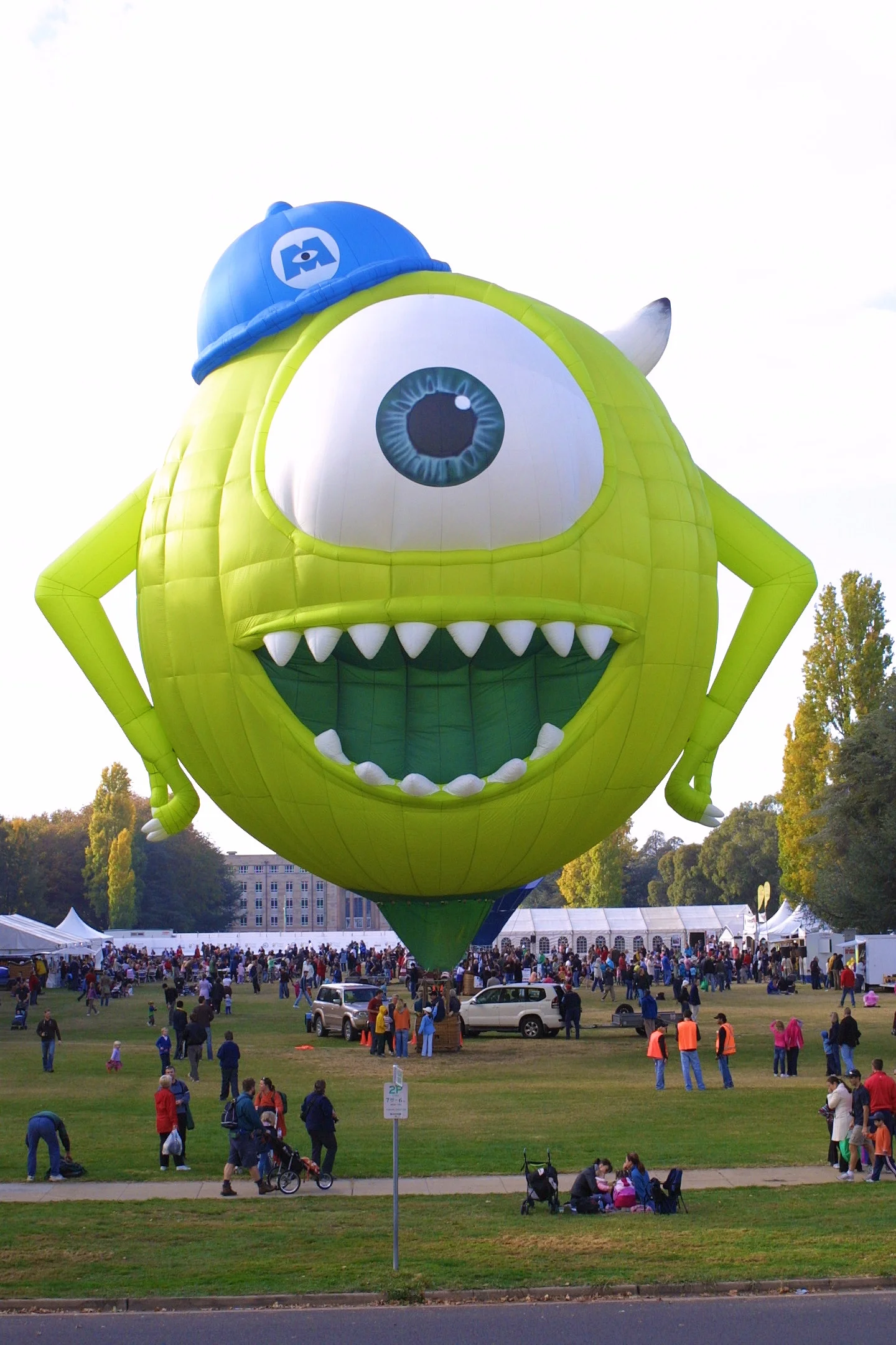 Mikey hot air balloon at festival.jpeg