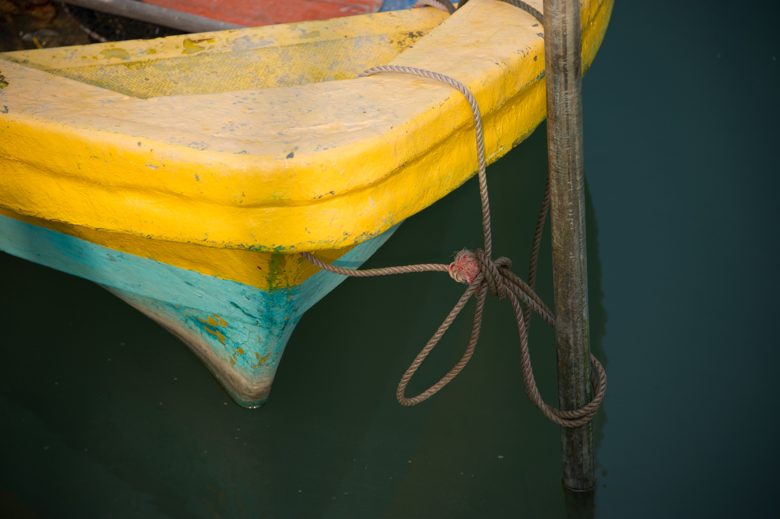 BVI_2416.jpg