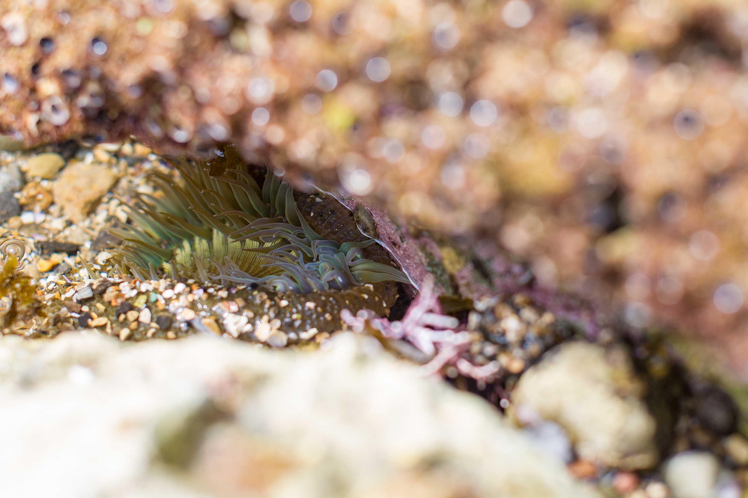 BVI_3573.jpg