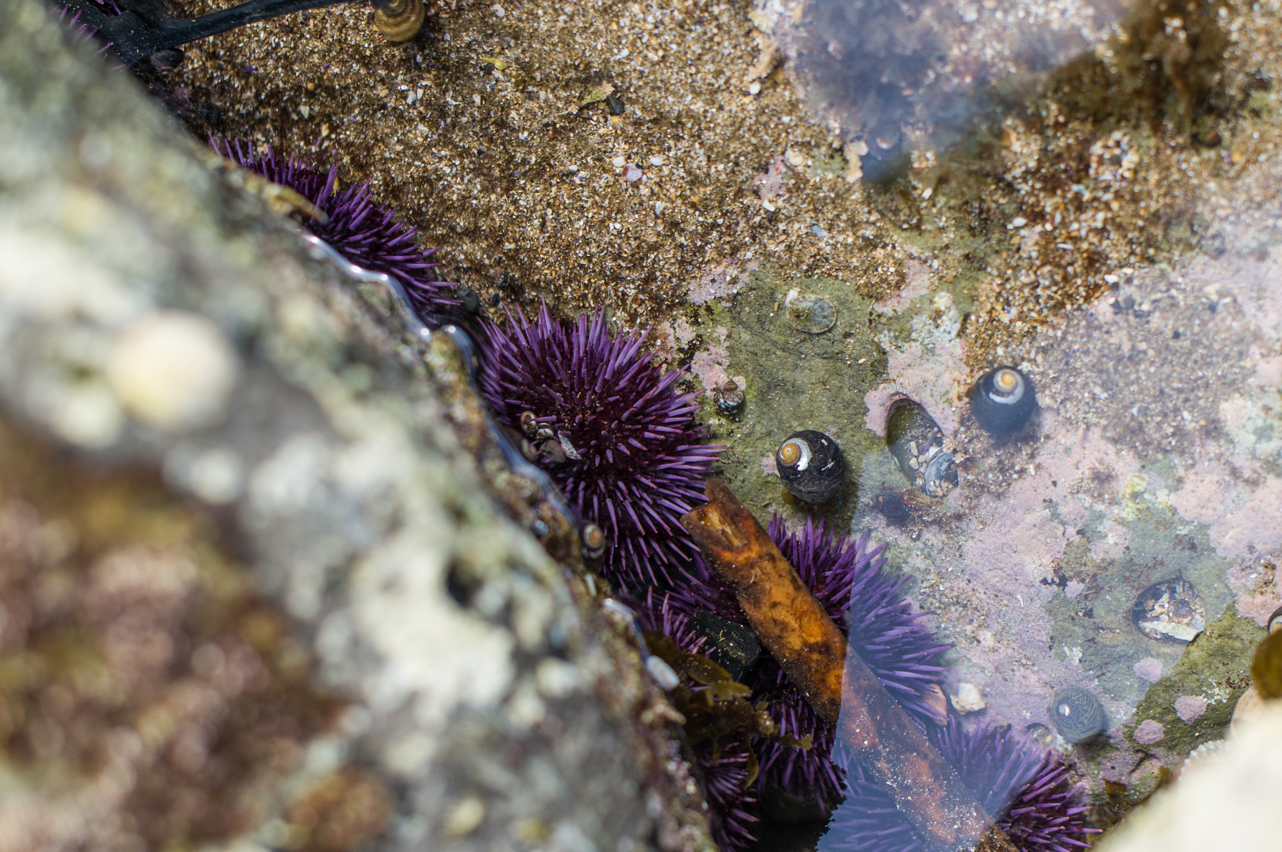 BVI_3578.jpg
