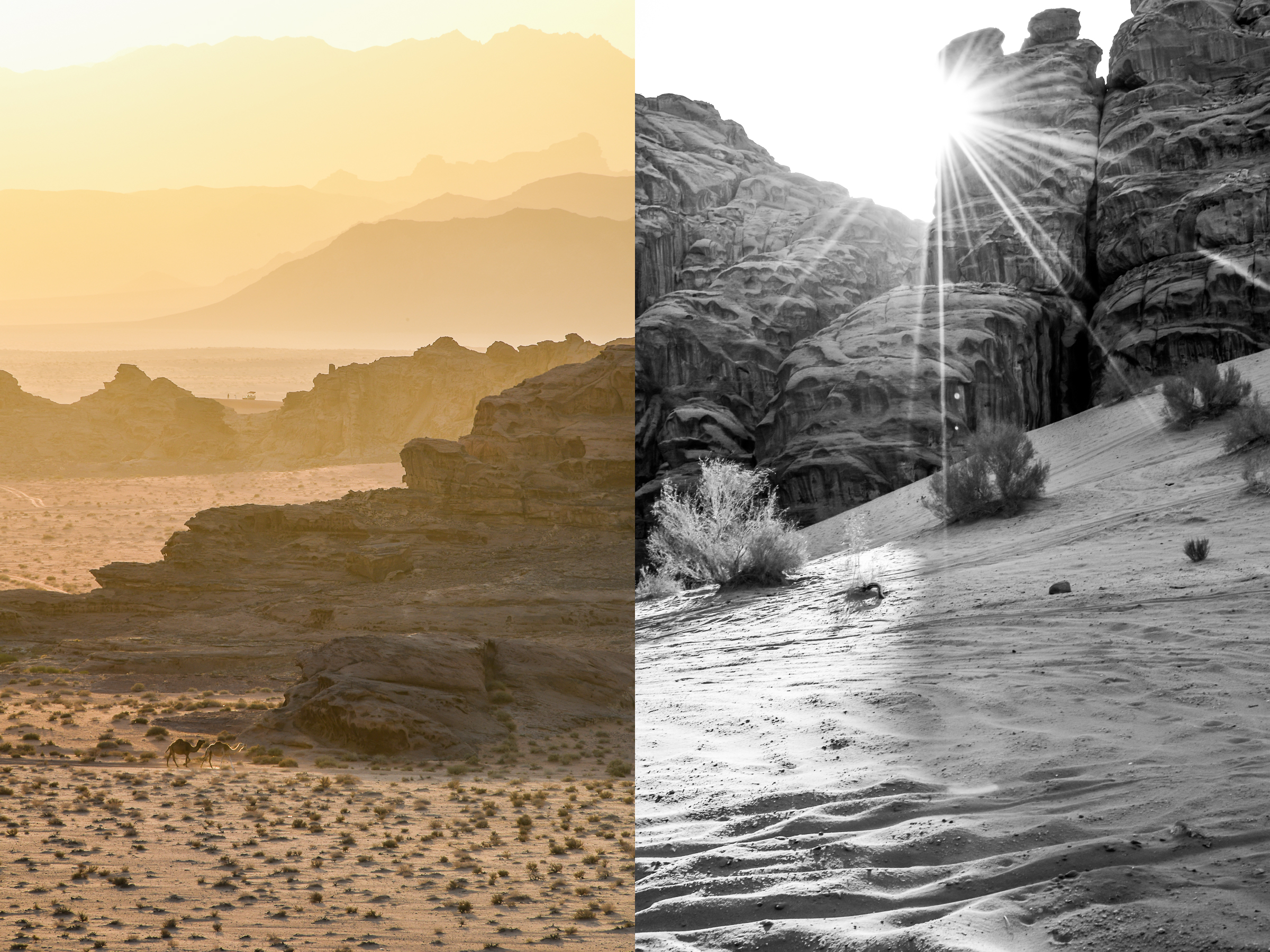 Wadi Rum Split1-blog.jpg
