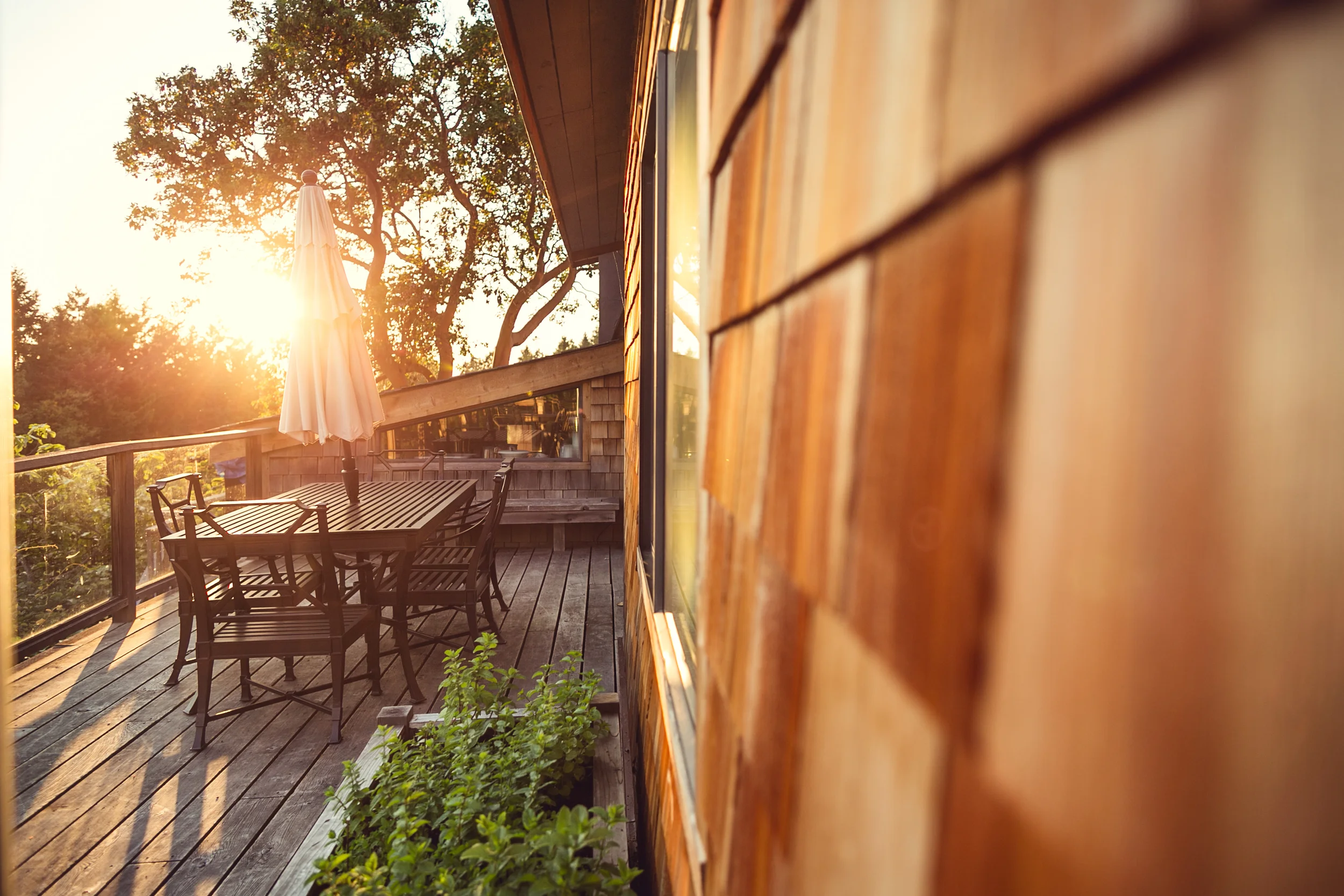 130701_130630_bodega_ridge_404-Edit.jpg