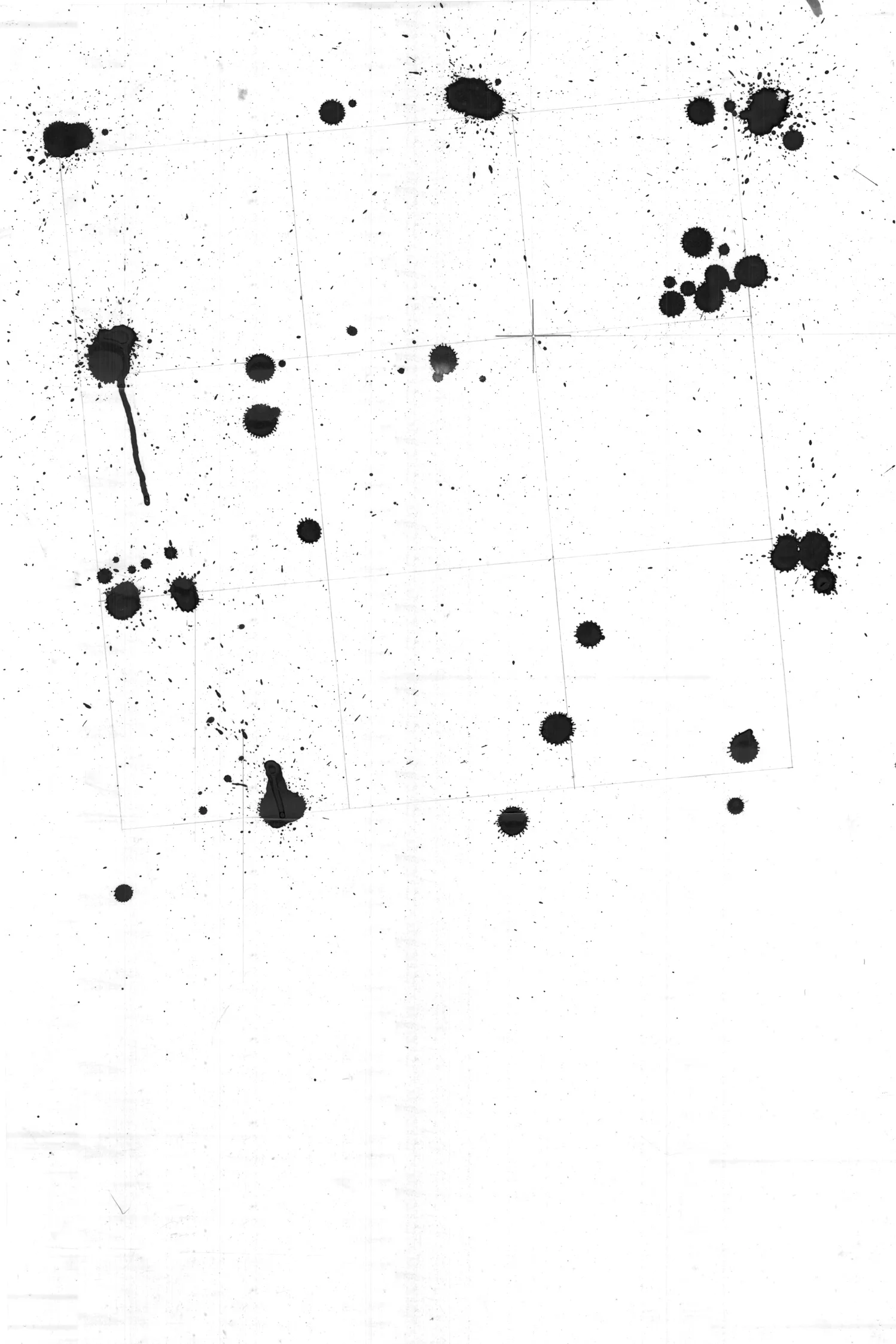 12FA_MGO_GUALDE_D4.jpg