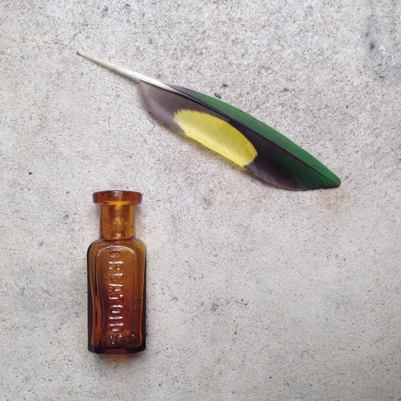 feather antique bottle falling for florin