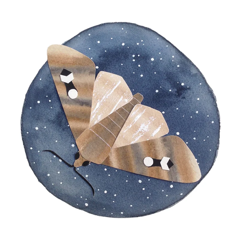 handmade paper bogong moth watercolour falling for florin