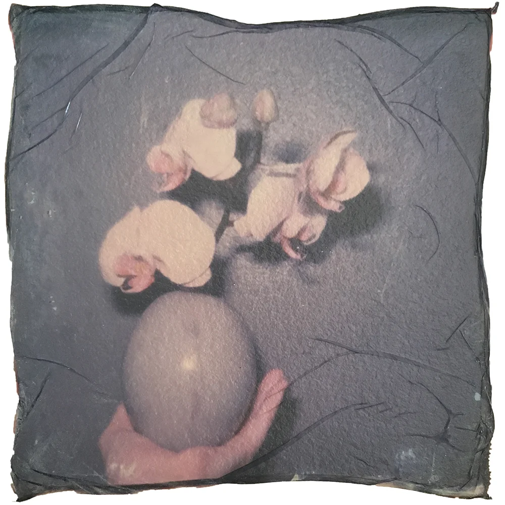 falling for florin hearts & bones emma j starr photography polaroid emulsion key west.jpg