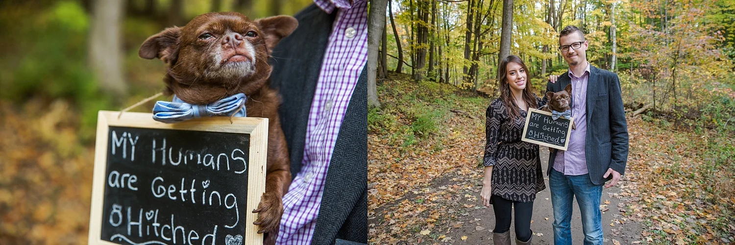 pelhamengagement_0112.jpg