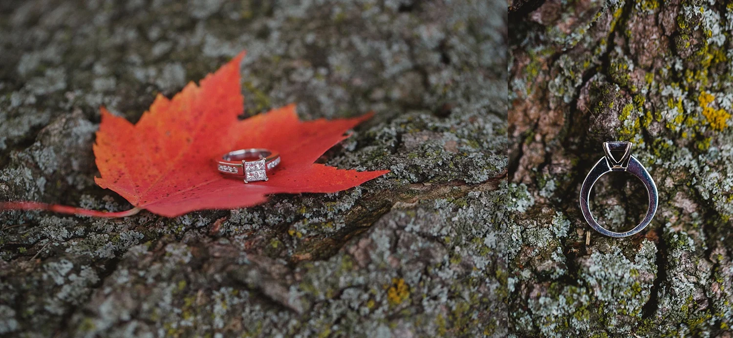 pelhamengagement_0144.jpg