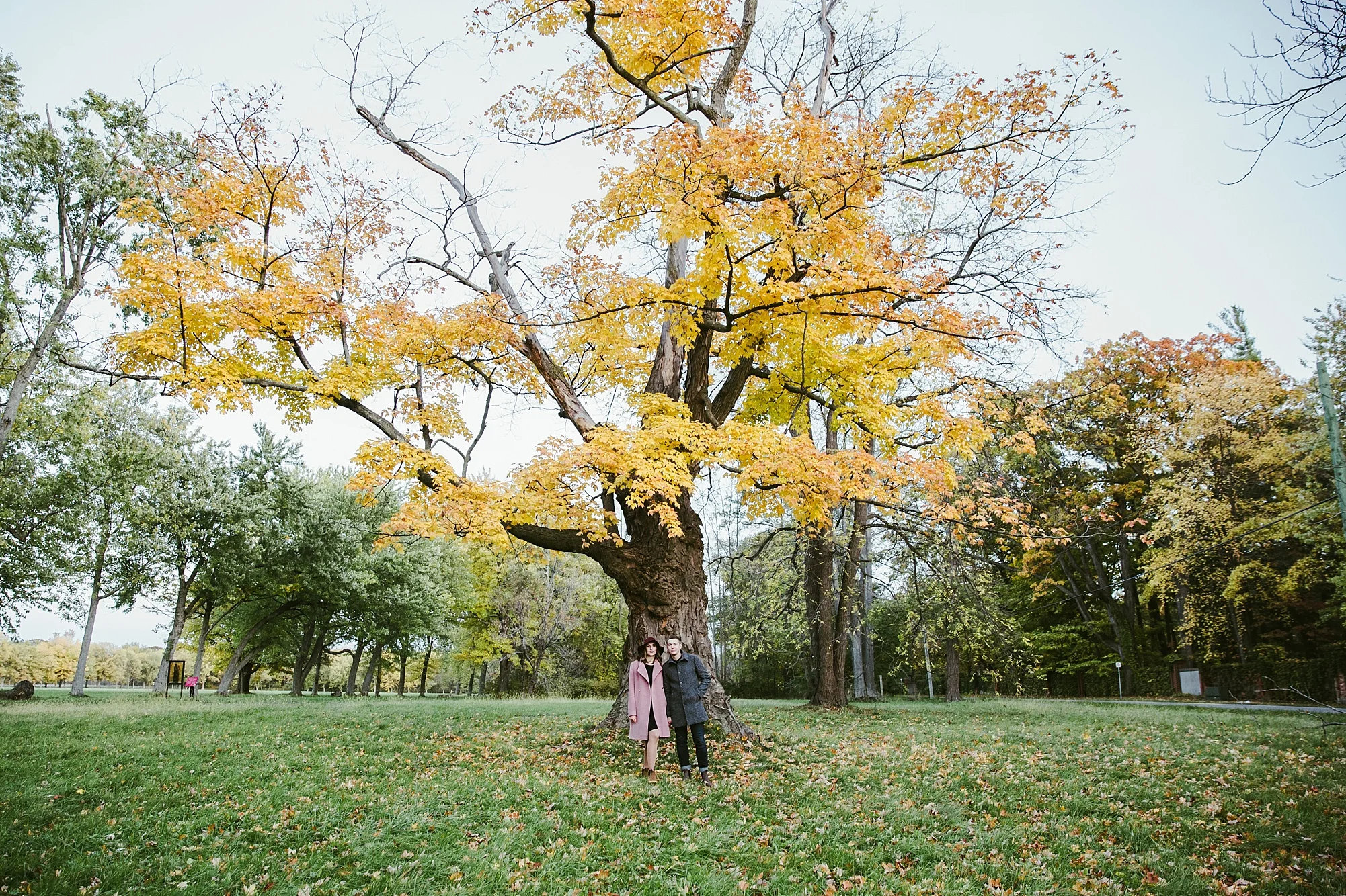 notl-engagementphotos_0035.jpg