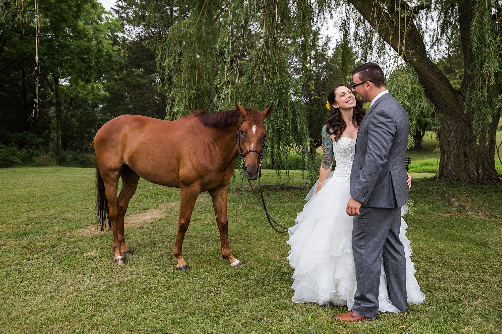 lipapark-hernderwinery-wedding_0050.jpg