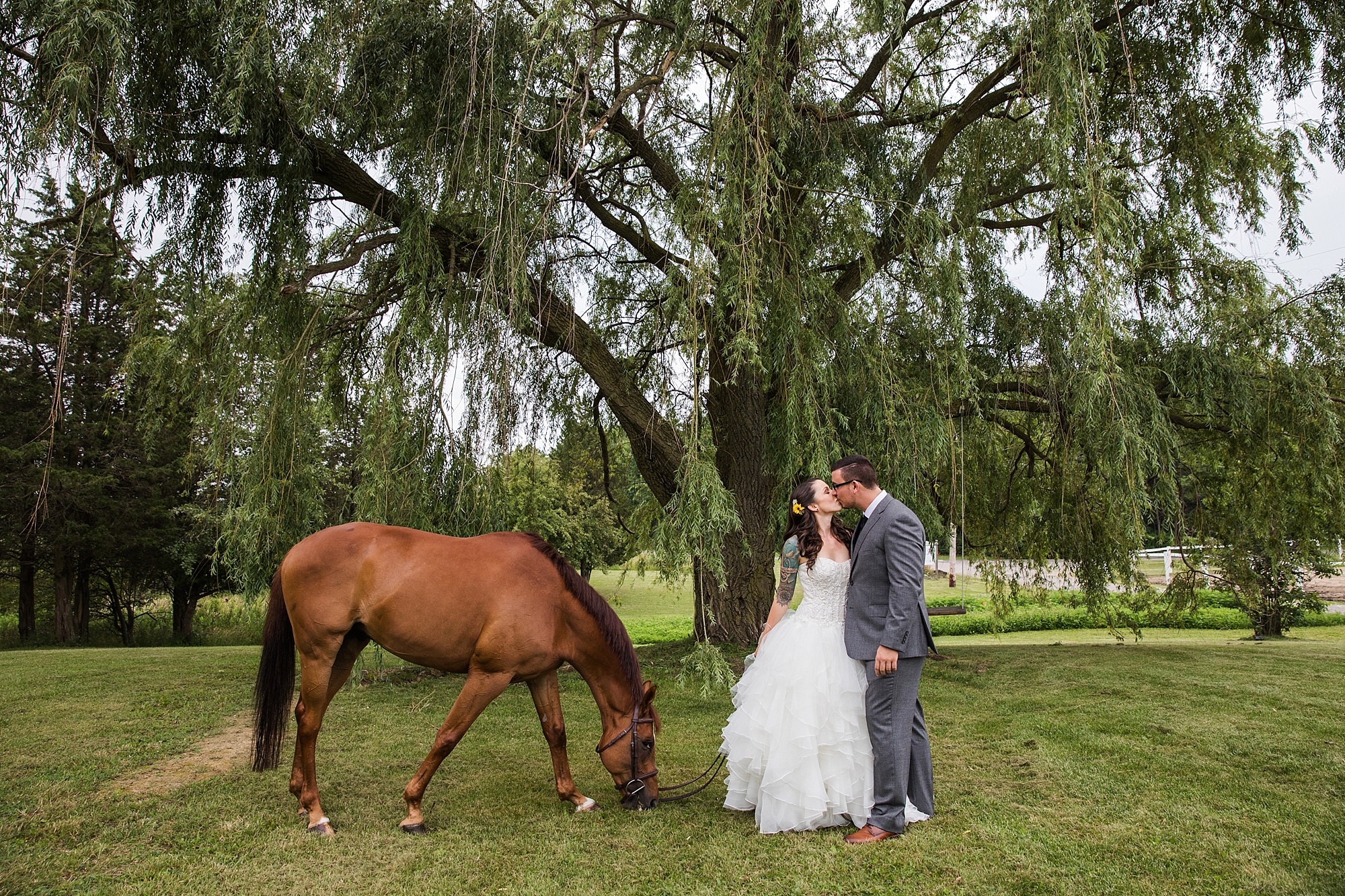 lipapark-hernderwinery-wedding_0051.jpg