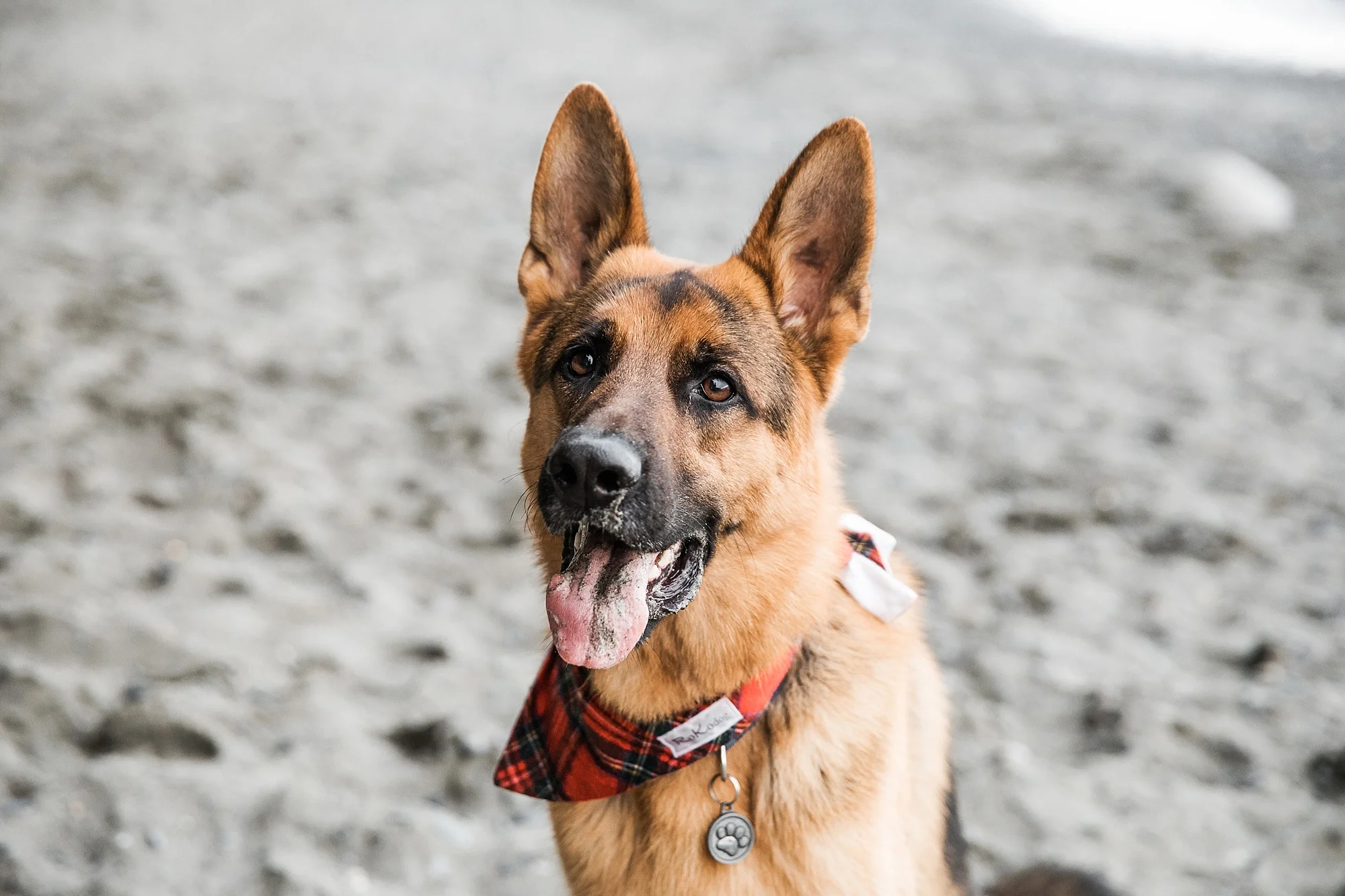 mysticbeachengagement_0022.jpg