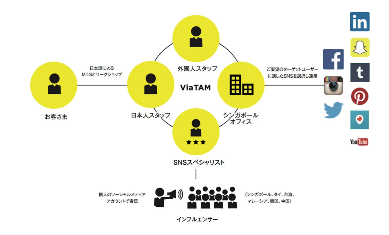 ViaTAM-FlowChart.jpg