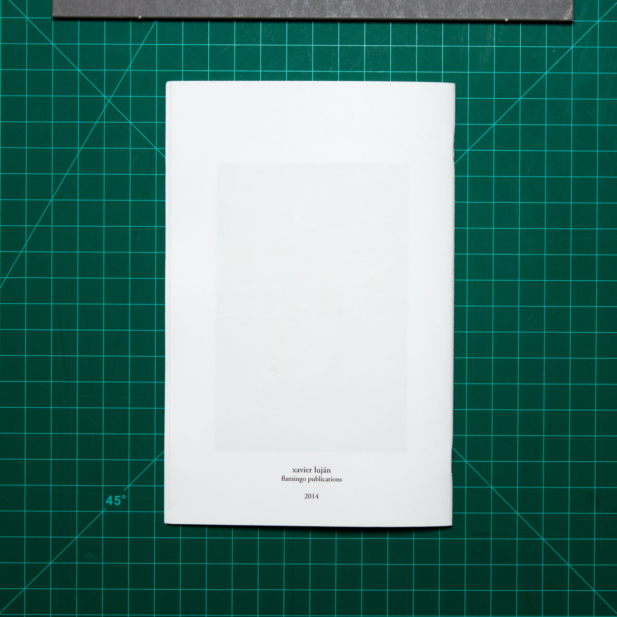 Lujan Xavier_An attempt_007.jpg