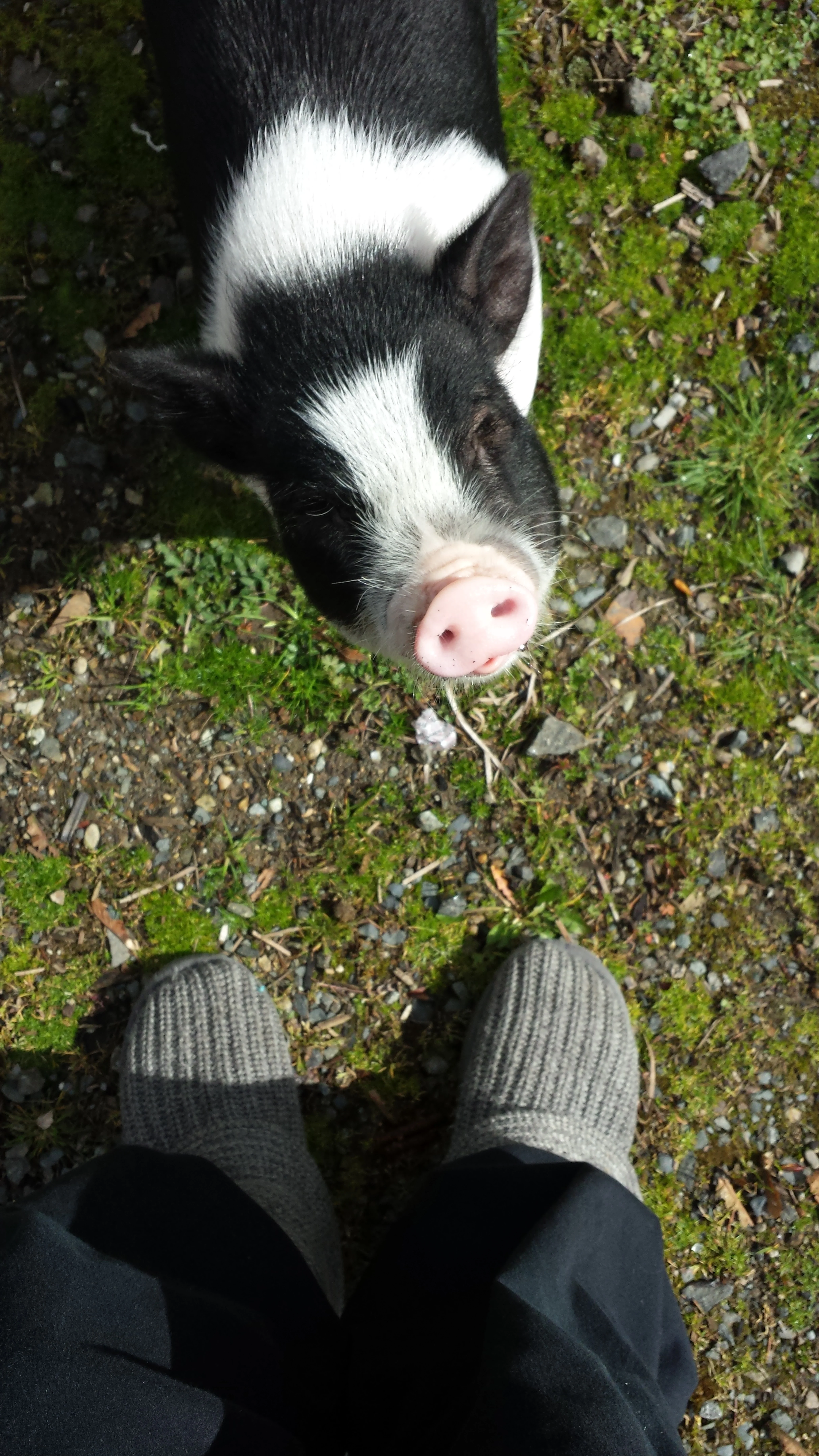 20140404_110738.jpg