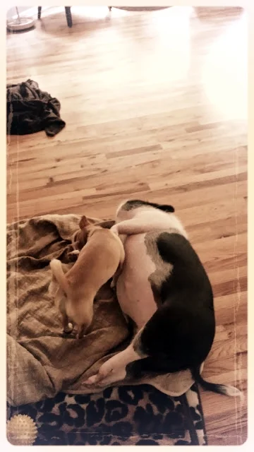20140628_115018.jpg