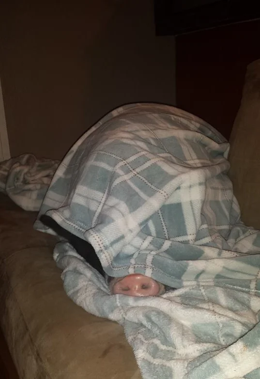 hammy1.jpg
