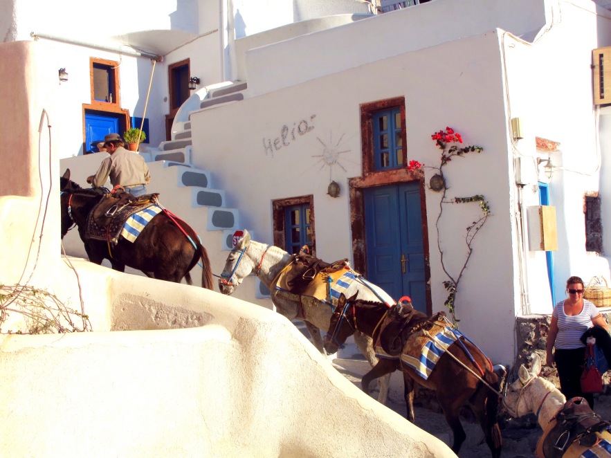 Sanotrini_donkeys climbing stairs_2.jpg