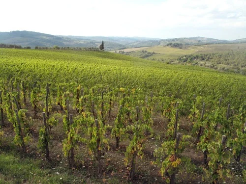 TUSCANY