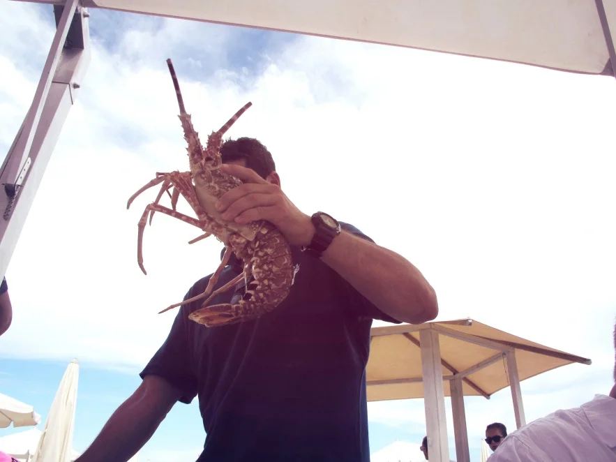 St Tropez_Lobster head.JPG