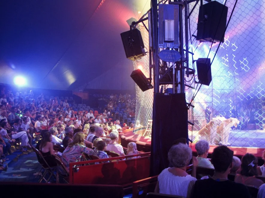 St tropez_Circus_Audience.JPG