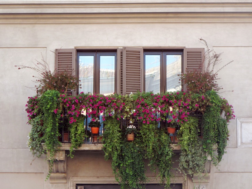 Rome_Balcony_Flower garden.JPG