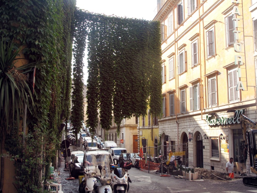 Rome_Vine hanging from cord.JPG