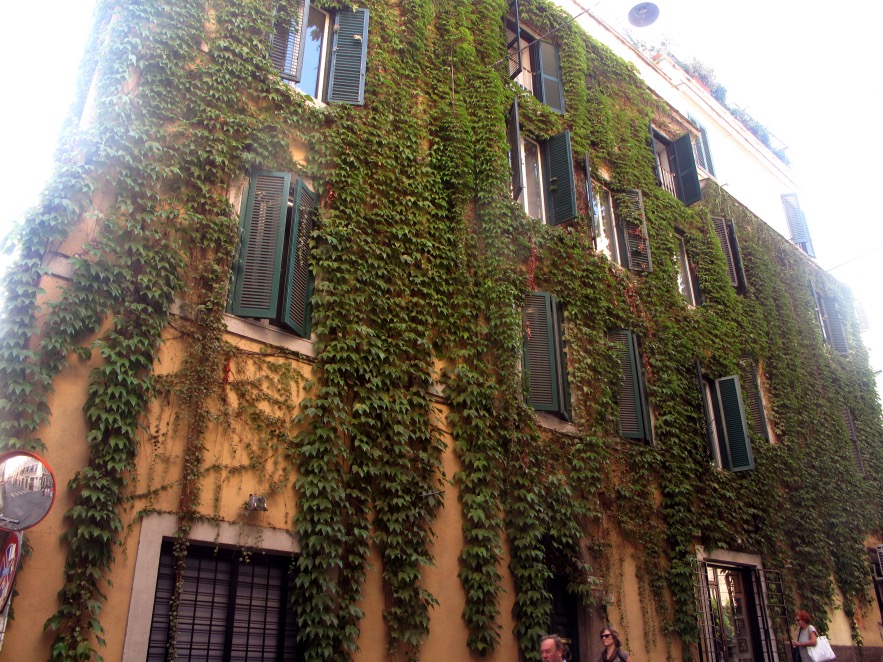 Rome_Vine covered building.JPG