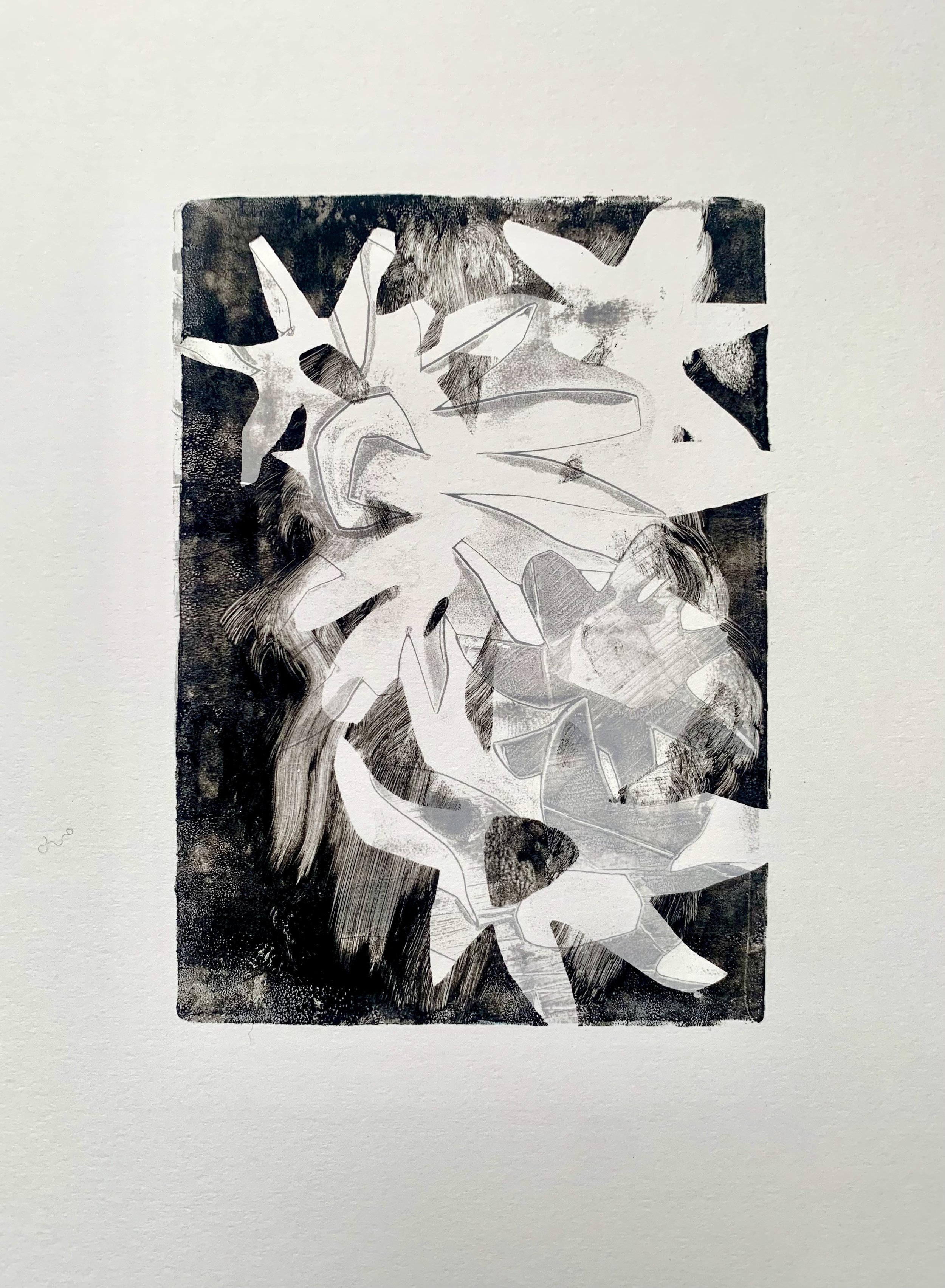 Flowers Mono (2025) A4 5