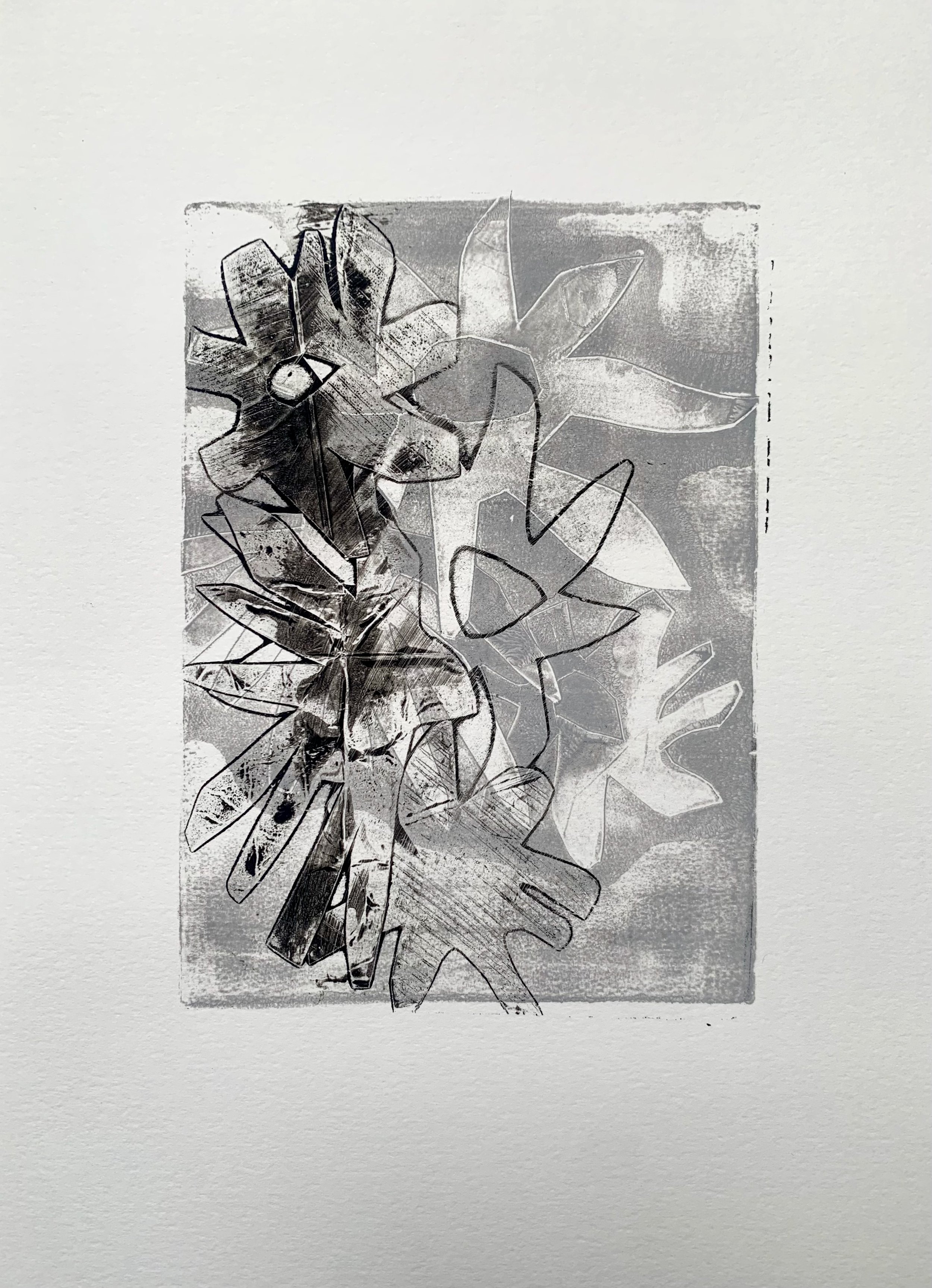 Flowers Mono (2025) A4 4