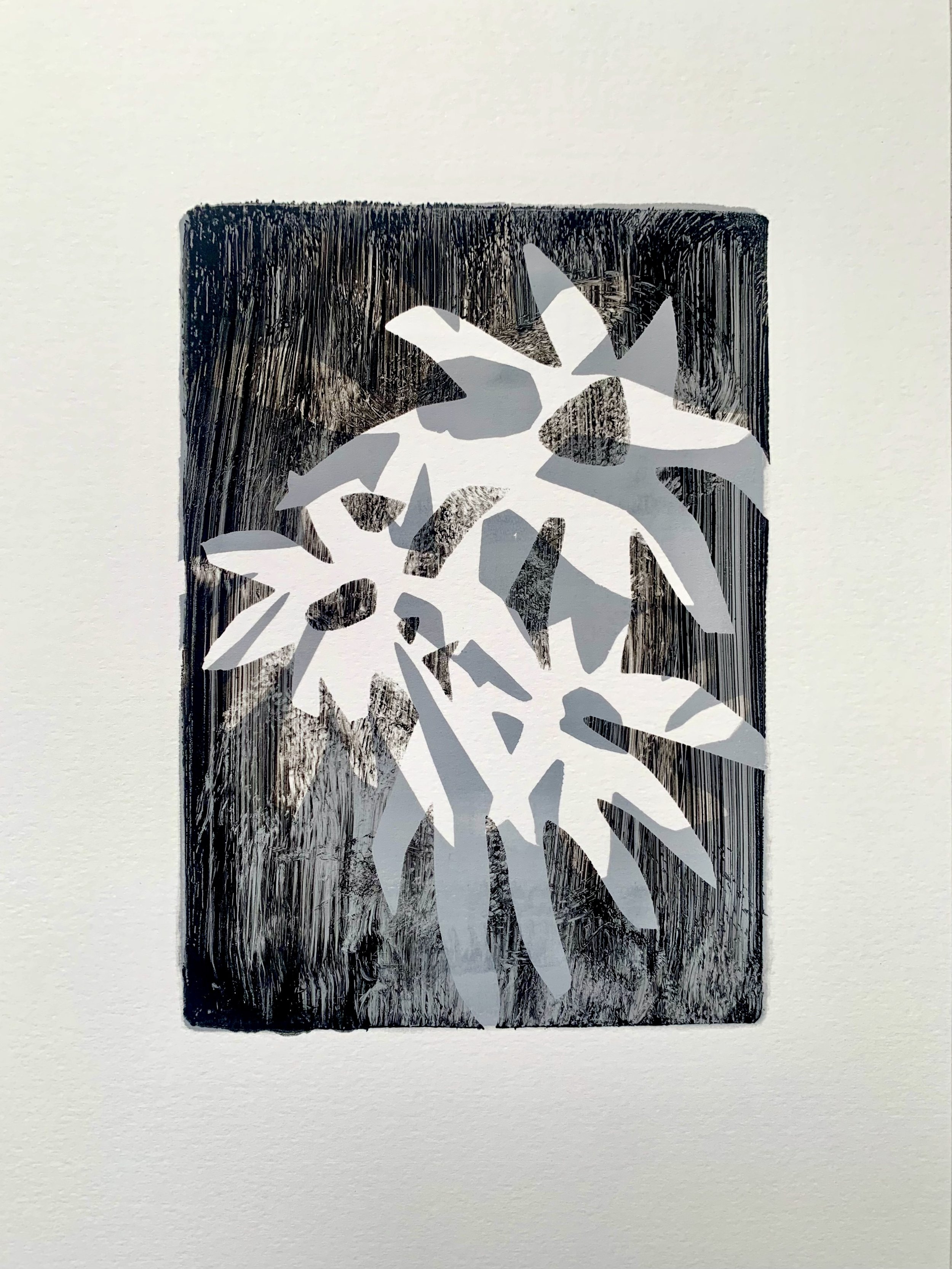 Flowers Mono (2025) A4 10
